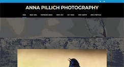 Desktop Screenshot of annapillichphotography.com