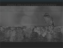 Tablet Screenshot of annapillichphotography.com